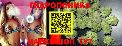 мяу мяу мука Будённовск