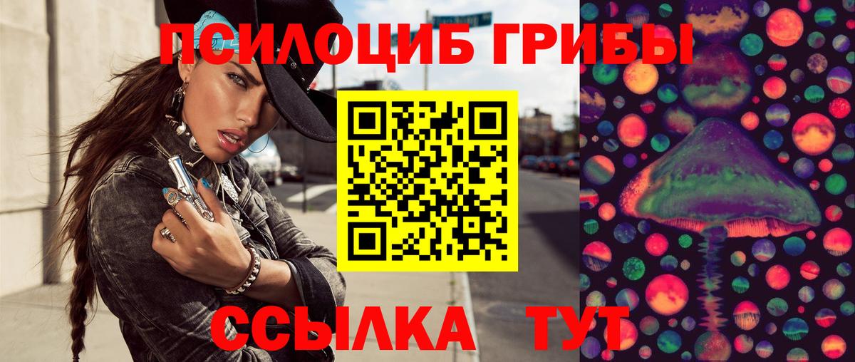 Галлюциногенные грибы Psilocybe Южноуральск